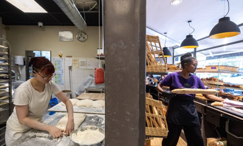 A pesar de una tasa de desempleo del 8% en Francia, ¿cuáles son las “buenas noticias” para el empleo en 2026? A pesar de una tasa de desempleo del 8% en Francia, ¿cuáles son las “buenas noticias” para el empleo en 2026?